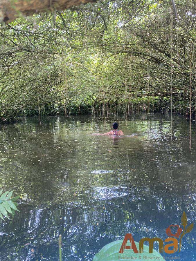 Ama Ecolodge Puerto Misahuallí Eksteriør bilde