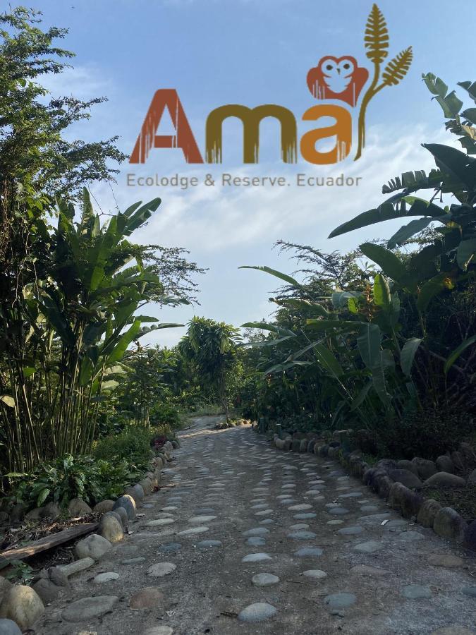 Ama Ecolodge Puerto Misahuallí Eksteriør bilde